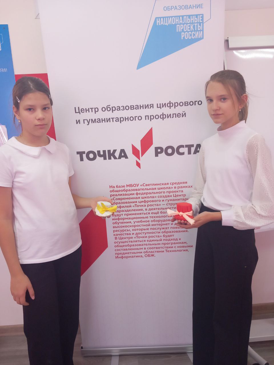 Создание игольниц на уроках технологии в центре Точка роста